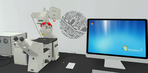 北京歐倍爾激光掃描共聚焦顯微鏡虛擬仿真軟件 設(shè)備、功能與教學(xué)價(jià)值