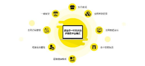 保亭青島鼠標網站公司 專業網站建設與小程序搭建，助力上海企業數字化轉型